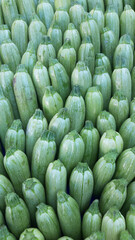 Light green fresh zucchini stacked in heap shot from above