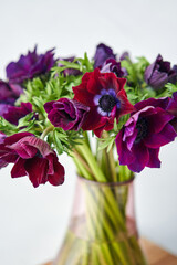 Fototapeta na wymiar Magenta and violet gradient poppies anemones. Many flowers - great background. the work of the florist at a flower shop. Delivery fresh cut flower. European floral shop.