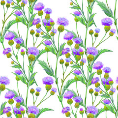 Persian cornflower. Vector seamless background pattern #1