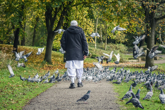 The old Muslim man is Standing into the pigeons group, Moses Gate Country Park, Bolton, England.