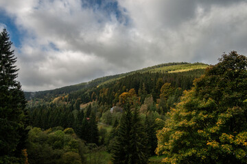 Fototapeta na wymiar Paysage de montagne avec la forêt de tous les verts possibles, un ciel nuageux et bleu. La forêt est composée principalement de résineux, épicéas sapins et pins.