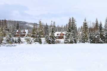 Mountain landscape in winter, fields and trees covered with snow.