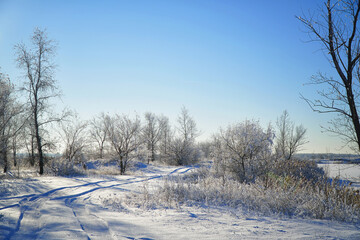 Snow covered forest country road on winter sunny day