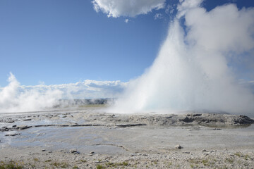 Fototapeta na wymiar A small geyser at Yellowstone National Park erupting on a sunny day with a few clouds