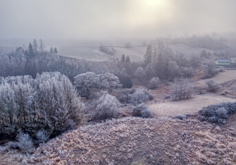 Winter misty and foggy country landscape with a tree silhouette on a fog at sunrise, rural countryside, Vysocina region Czech Republic