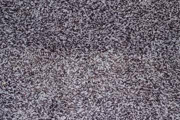 Grey Carpet Texture in Home