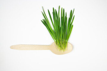 Wooden spoon with natural fresh grass on a white background.The concept of fasting and weight loss.