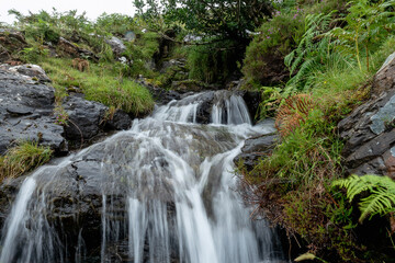 Fototapeta na wymiar Water flowing in a small creek. Nature background.