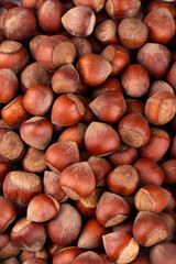 delicious hazelnuts that are always heaped together
