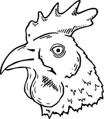 hand draw doodle chicken head 