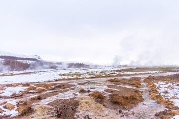 Valley of Geysers Haukadalur in the south of Iceland.