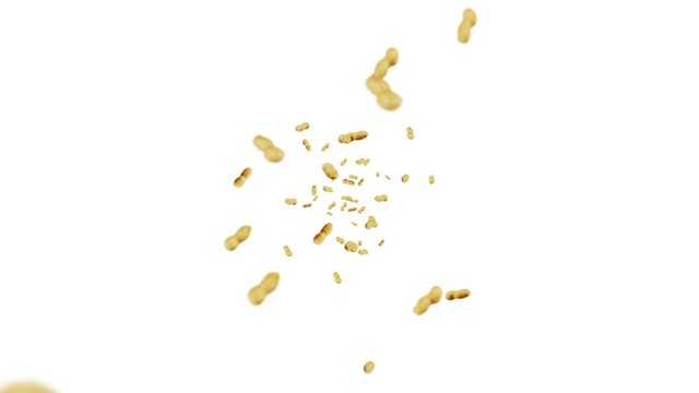 Flying many peanuts on white background. Raw peanuts. Groundnuts in shells. Healthy organic food. 3D loop animation of seed rotating.