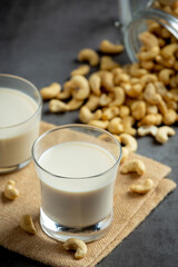Vegan cashew milk in glass with cashews nuts on dark background