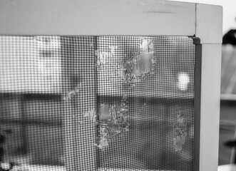 torn mosquito net for the window. black and white