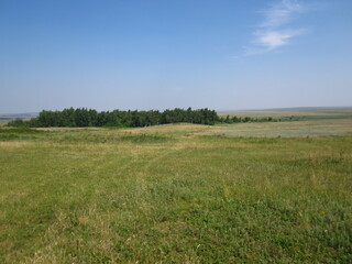 field and blue sky