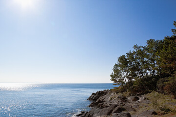 串木野市照島海岸の穏やかな海	