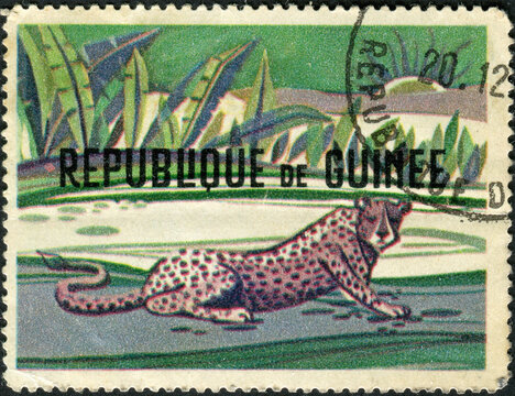 REPUBLIQUE DE GUINEE - CIRCA 1968 : A stamp printed in Republique de Guinee shows image of leopard