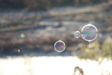 シャボン玉、　　　空をふわふわ舞うシャボン玉、