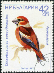 BULGARIA - CIRCA 1987: A stamp printed in Bulgaria shows Coccothraustes