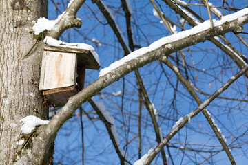 Wooden bird house on a tree. With snow on branches and blue sky in the background.