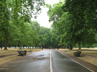 road in the city park