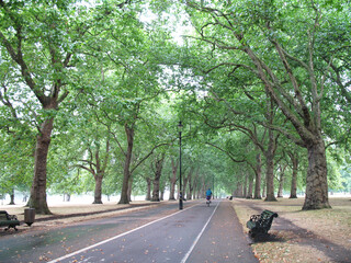 road in the park