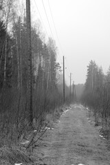 Winter road in the forest with electricity line