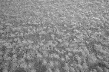 black and white texture