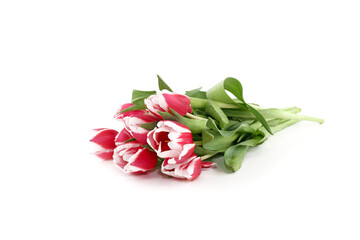 bouquet of tulips isolated on white 