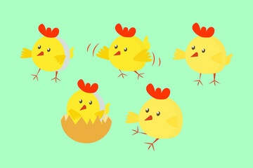 Vector flat illustration. Big set of cute easter chicken isolated on blue. 