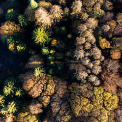 Baumwipfelpfad Panarbora Waldbröl NRW