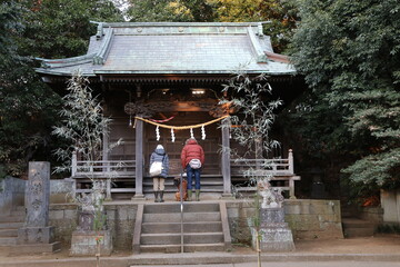 日本のお正月、初詣で。　　　年の初め、1年の健康、幸福等を祈り、神社、寺院へお参りする。メジャーな神社・寺院は多くの人で混雑するが、地元で、静かに祈る人たちもいる。
