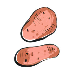 Cute hand drawn potatoes. colorful vector illustration isolated on white. 