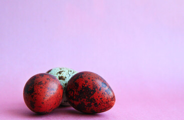 Easter colored quail eggs on pink background