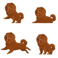 Chow Chow in different poses. Beautiful pet in cartoon style.