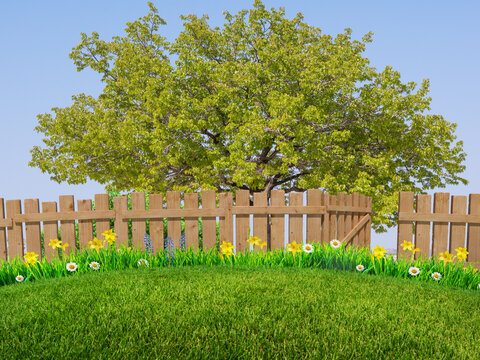green grass meadow and spring flowers at backyard background