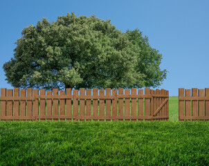 spring tree in backyard and wooden garden fence
