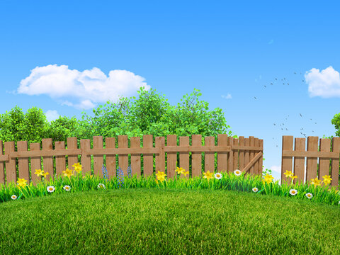 green grass and spring flowers at backyard background