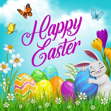 Easter bunny with eggs, vector religion holiday egg hunt. Easter rabbit cartoon character on spring field with green grass blades, flowers of daffodil, crocus and lily of valley, butterflies, blue sky