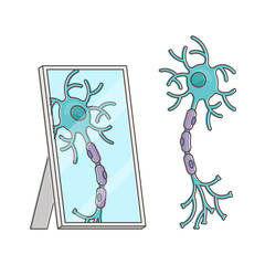 Mirror neuron funny performance with itself reflection view outline concept