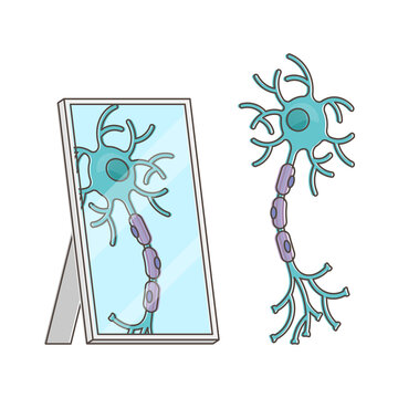 Neuron Cartoon Images – Browse 1,240 Stock Photos, Vectors, and Video | Adobe Stock Neuron Cartoon Images – Browse 1,240 Stock Photos, Vectors, and Video | Adobe Stock