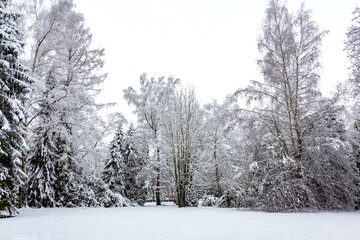 Naklejka premium Winterlandschaft