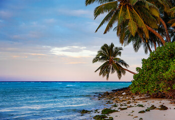 Fototapeta na wymiar Evening Maldive island sunset beach and palm trees view