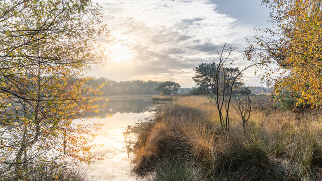 sunrise with reflection in water of a fen with some small trees and reet in the foreground, in the Hatertse Vennen, Nijmegen, The Netherlands