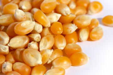 Corn kernels on a white background
