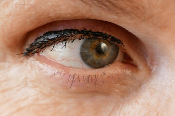senior caucasian white woman's eye, macro