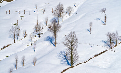 Pasiegas cabins in winter in the Valle del Miera in the Valles Pasiegos de Cantabria. Spain.Europe