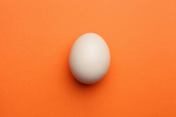 farm chicken egg isolated on orange background, natural product