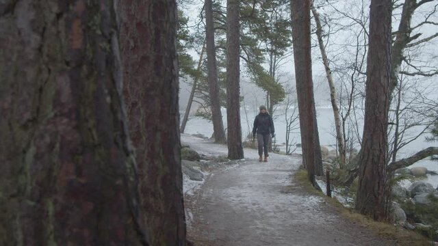 Single woman walking towards camera along snowy path among pine trees in a national park in Finland
