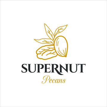 pecan nut logo label emblem graphic design template for food and organic snack idea 